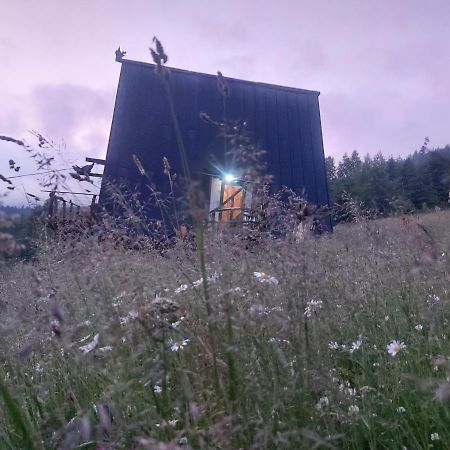팔리아니츠야 Oak House 아파트 외부 사진