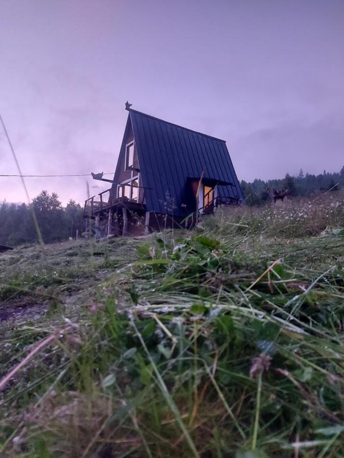 팔리아니츠야 Oak House 아파트 외부 사진