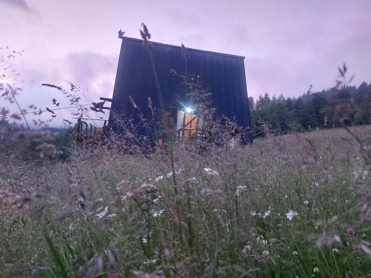 팔리아니츠야 Oak House 아파트 외부 사진
